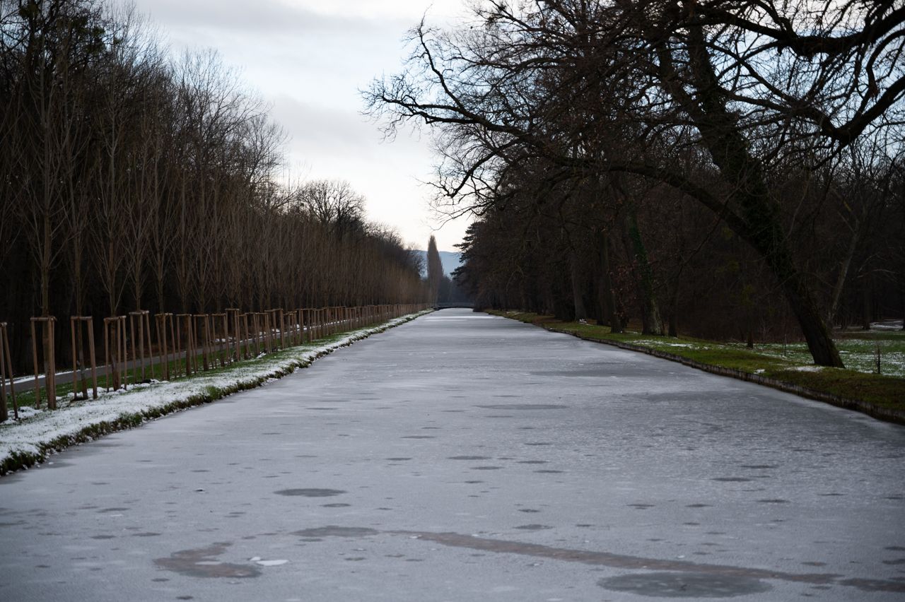 nikon z6, winter, ice, river