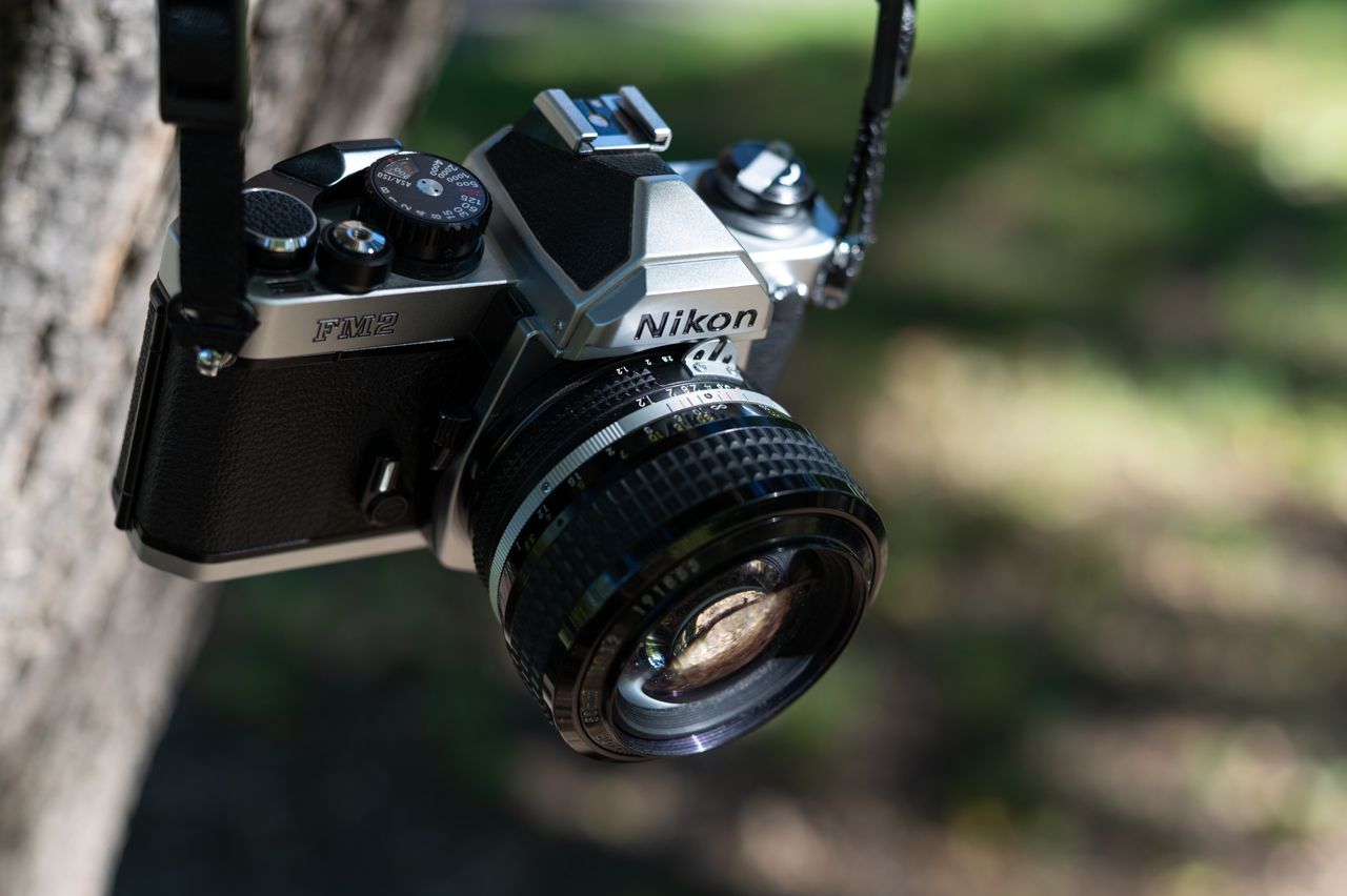nikon z6, fm2, camera