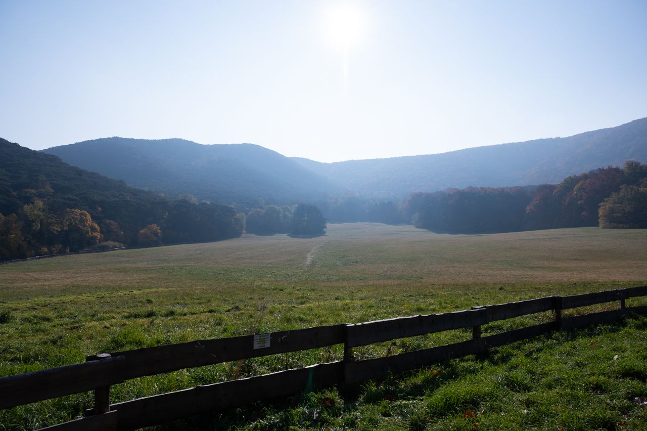 nikon z6, landscape, meadow