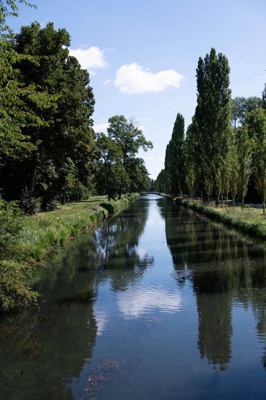 nikon z6, water, river